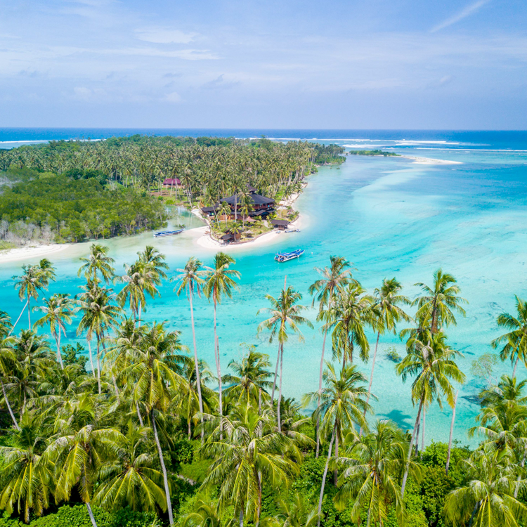 Macaronis Surf Resort