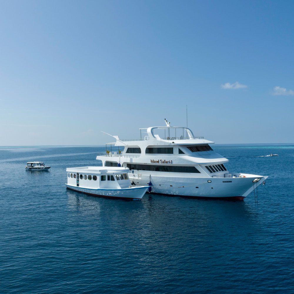 Surf Boat Trip Maldives