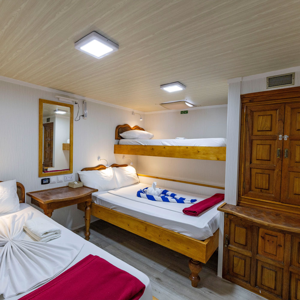 Boattrip Salty Sisters