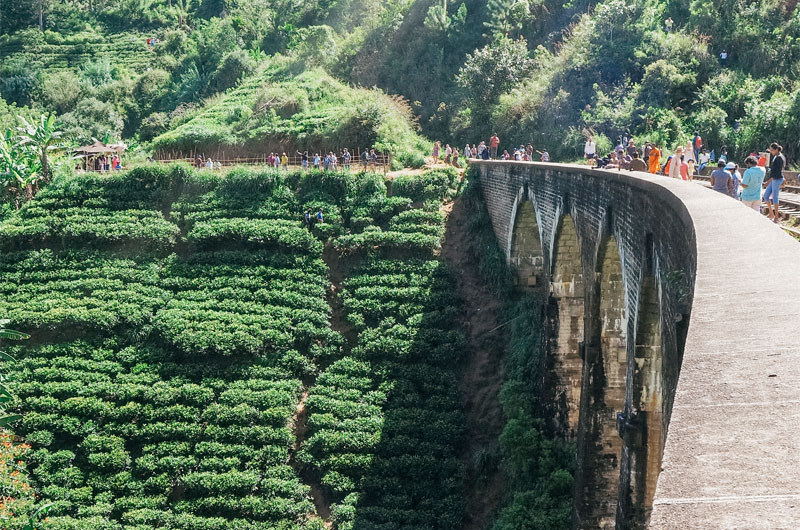 Landscapes Sri Lanka
