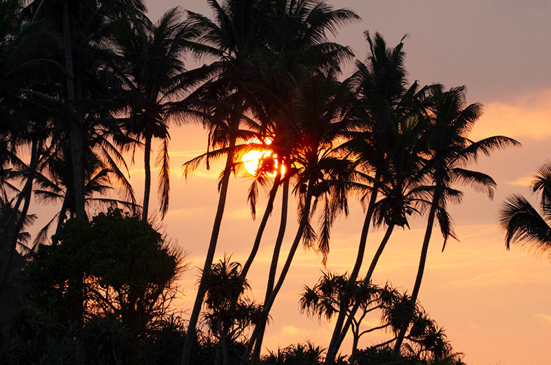 Sunset Surfing Sri Lanka