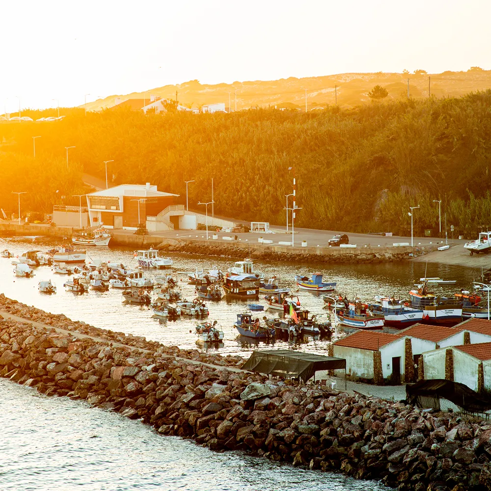 Milfontes Surf Camp experience