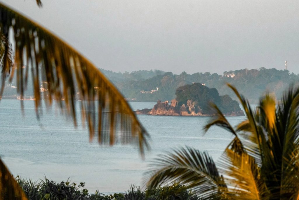 csm_pure-surf-camps-sri-lanka-surfcamp-lifestyle-surf-06725_9c5c06bee3