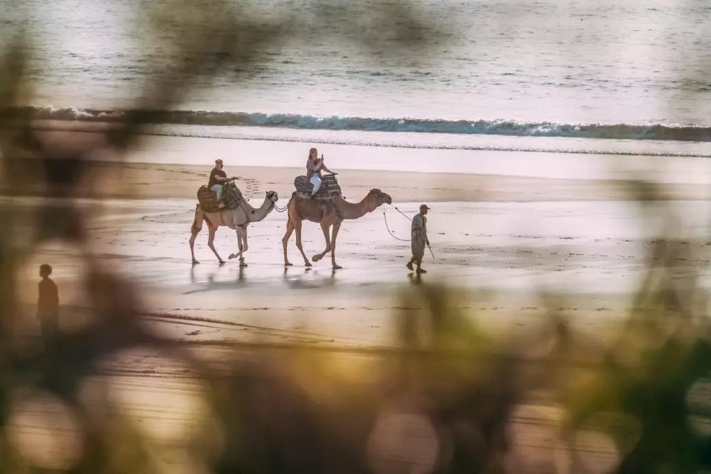 csm_puresurfcamps-marokko-lifestyle-surf-house-lodge-8_83b6f66f3d