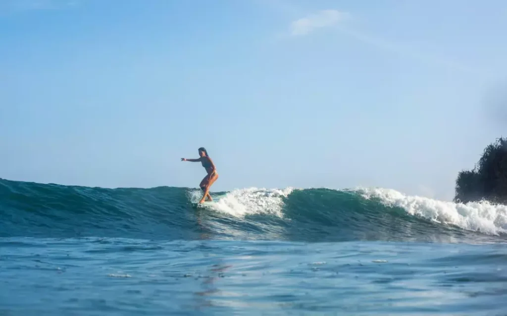 csm_puresurfcamps-surfretreat-sri-lanka-mirissa-weligama-palmen_0830e19d33