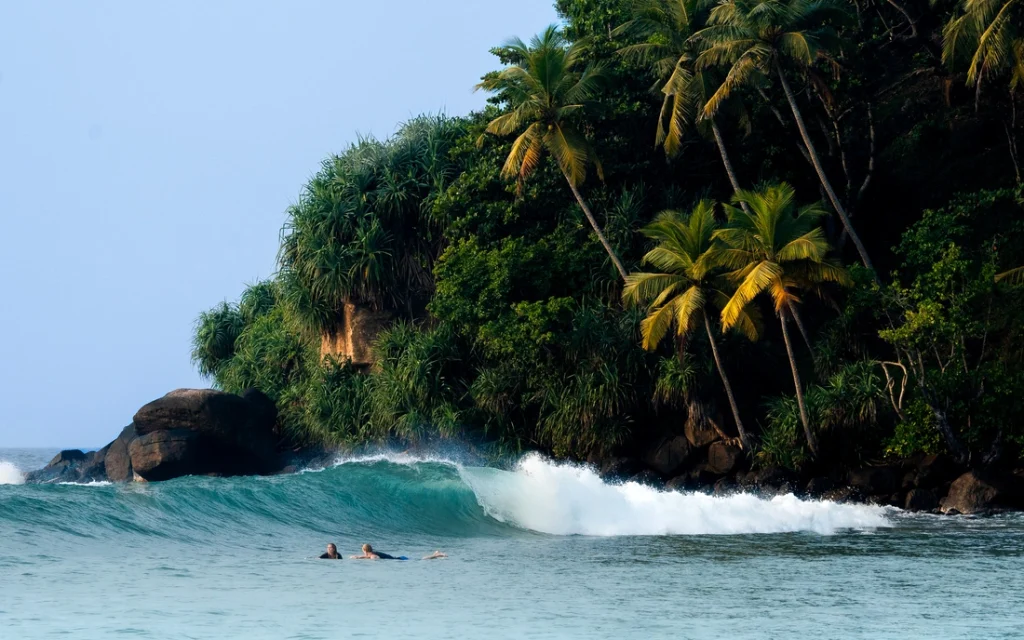 csm_srilanka_surfcamp_beachfront_surfcamps_puresurfcamps_surfing_surflifestyle_surfing-01177_aa22161446
