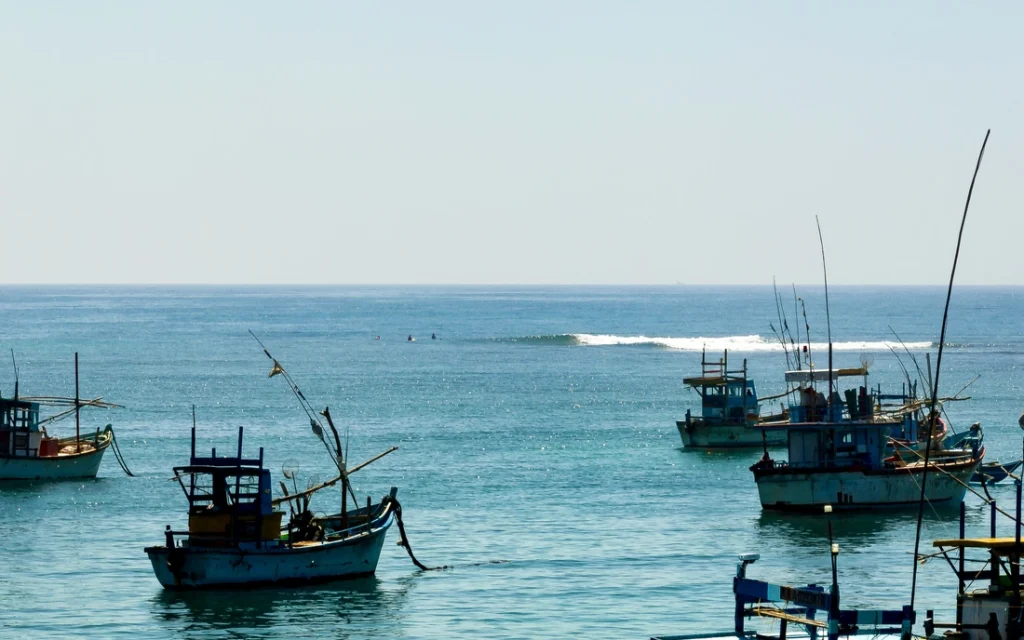 csm_srilanka_surfcamp_beachfront_surfcamps_puresurfcamps_surfing_surflifestyle_surfing--5_3627cd6ddc