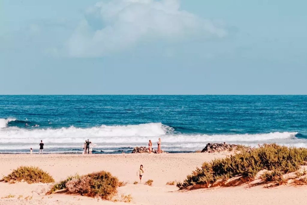 csm_wellenreiten-guiding-puresurfcamps-surf-wellen-surfschule-anfaenger-fortgeschritten-lesson-unterricht-kurs-intermediate-advanced-fuerteventura-canaries-kanaren-surflodge-8929_a9cb70f40d