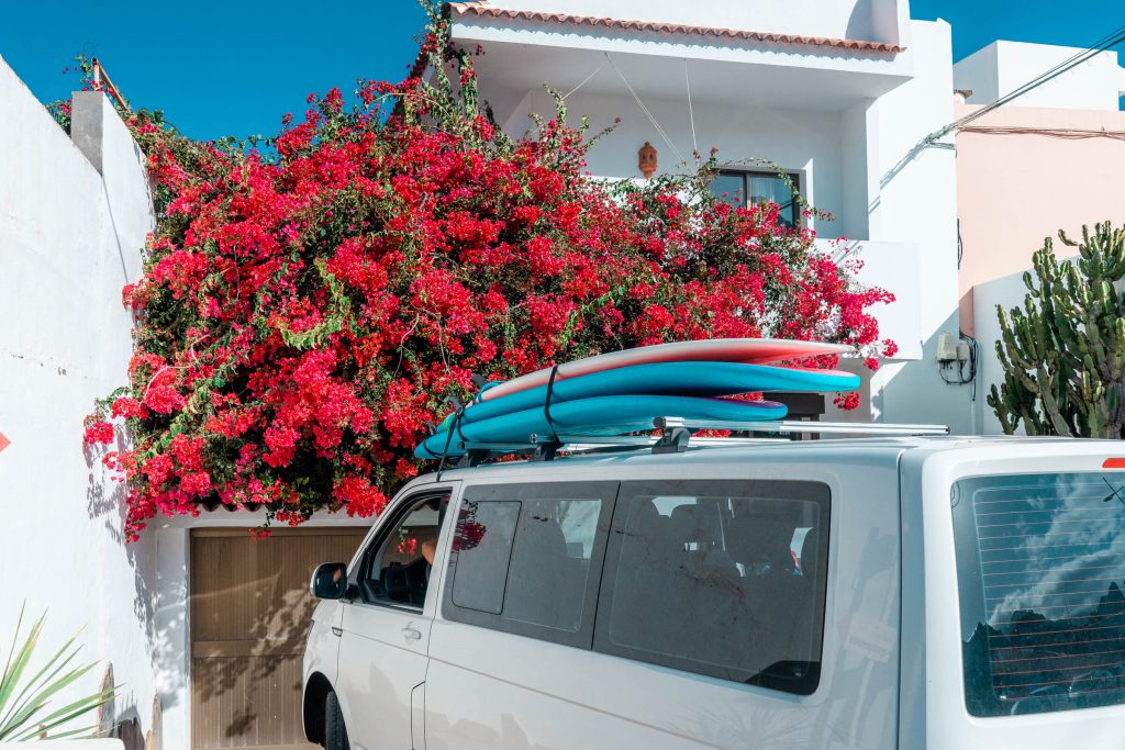 puresurfcamps-surfcamp-surflesson-surfing-howtosurf-teneriffa-north-alexzirke-bigwaves-villa-surfhouse-lodge-private-pool-goodvibes-09991