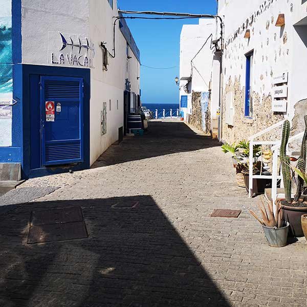 Cotillo (5)-square