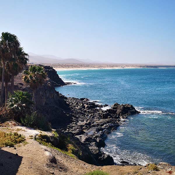 Cotillo (6)-square