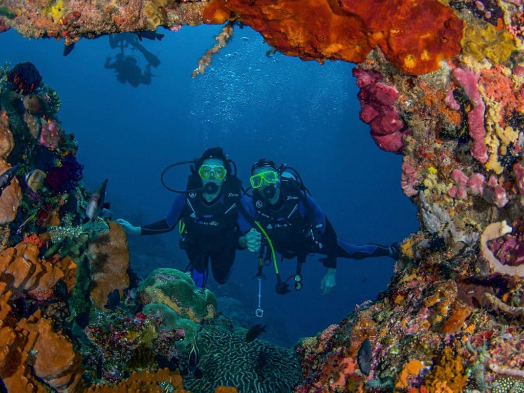dive-2-1