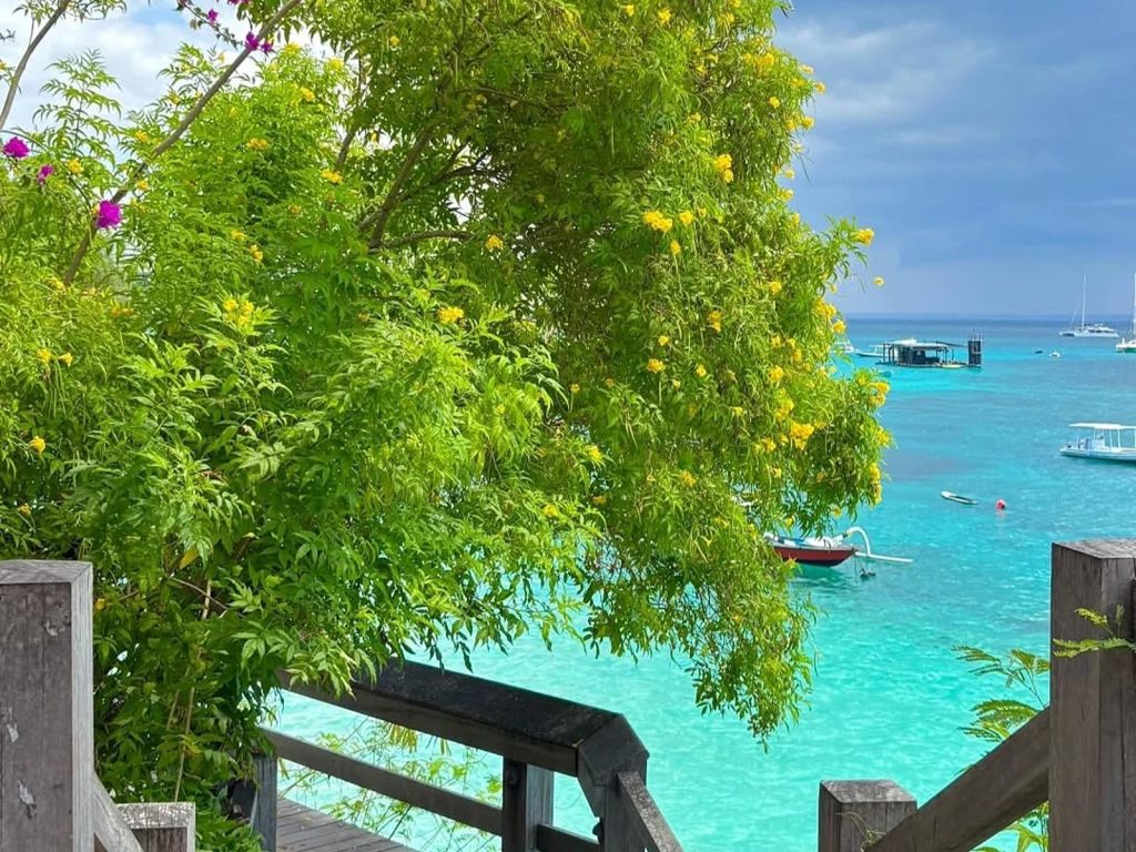 someone tell barry we’re livin@mojo.surf #surftrip #surfcamp #indonesia #nusalembongan